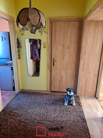 Prodej rodinného domu, Prostějov, Česká, 190 m2