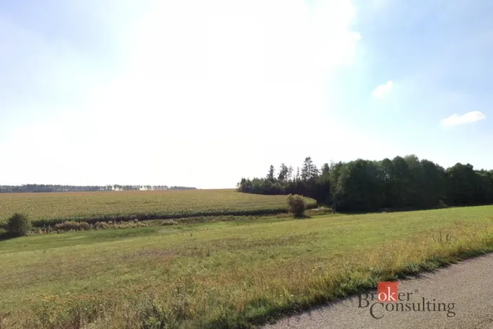 Prodej pole, Vlkov, 16385 m2