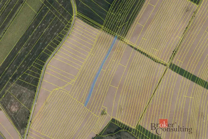 Prodej pole, Vlkov, 16385 m2