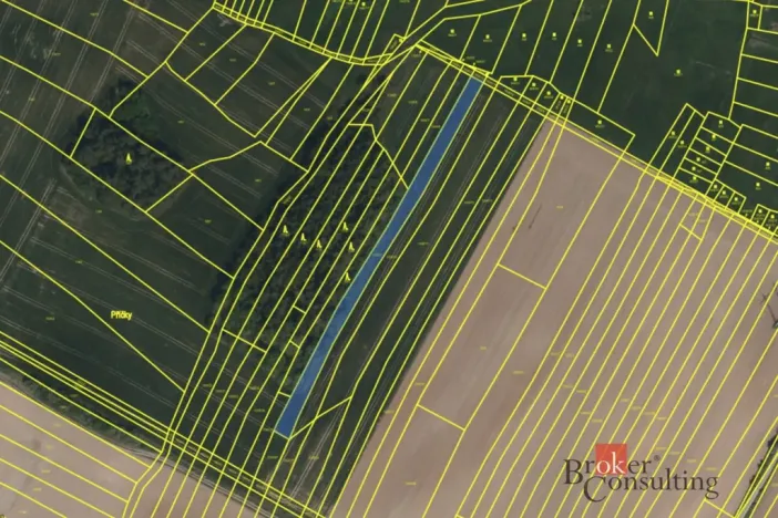 Prodej pole, Vlkov, 16385 m2