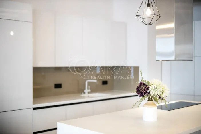 Pronájem bytu 3+kk, Praha - Nové Město, Truhlářská, 186 m2