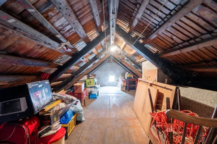 Prodej rodinného domu, Janov nad Nisou, 379 m2