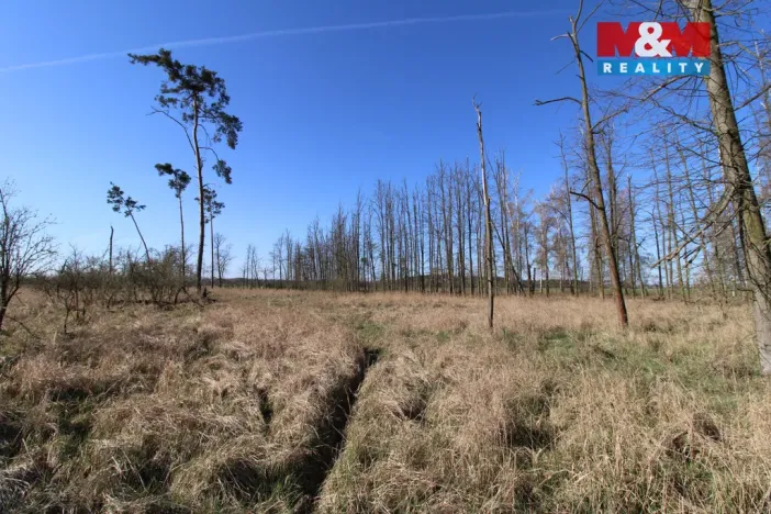 Prodej lesa, Veletov, 5891 m2