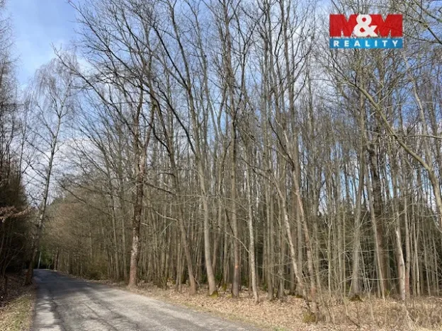 Prodej lesa, Košťálov - Kundratice, 11072 m2