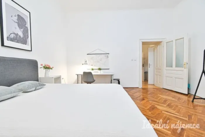 Pronájem bytu 2+1, Brno - Brno-město, Veselá, 53 m2