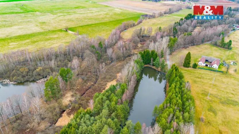 Prodej rybníku, Dvory nad Lužnicí, 8649 m2