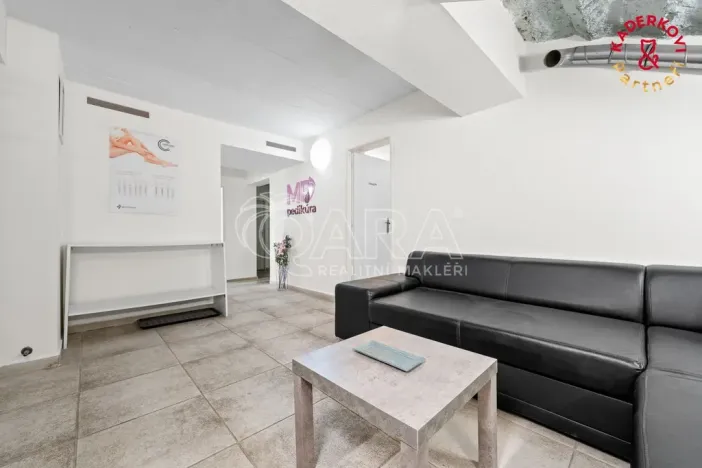 Prodej obchodního prostoru, Brno, Lidická, 172 m2