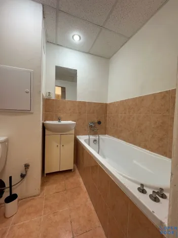 Pronájem bytu 1+kk, Most, K. H. Borovského, 26 m2