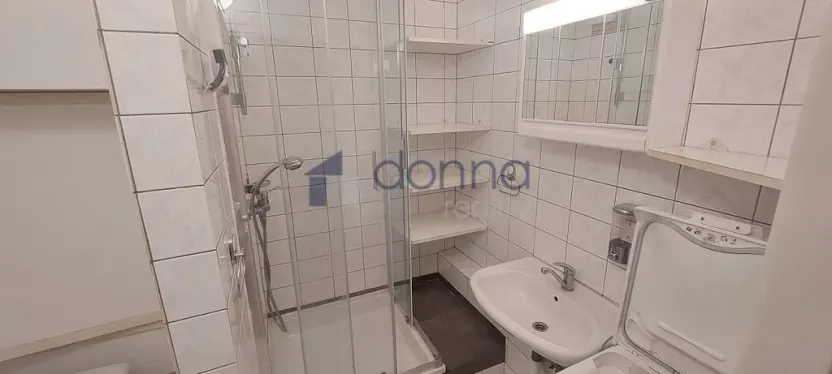 Pronájem bytu 2+kk, Praha, Uherská, 45 m2