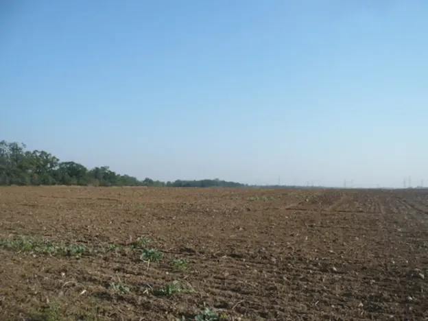 Prodej komerčního pozemku, Veltrusy, 3681 m2