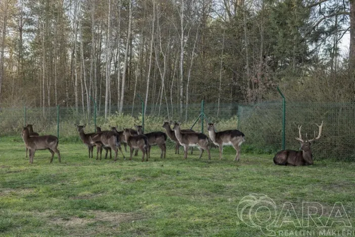 Prodej rodinného domu, Stará Huť, Krásný život, 140 m2
