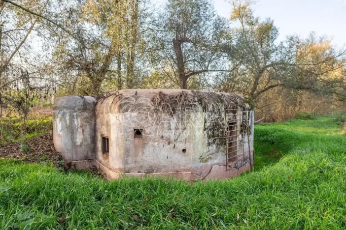 Prodej chaty, Kolešov, 21 m2