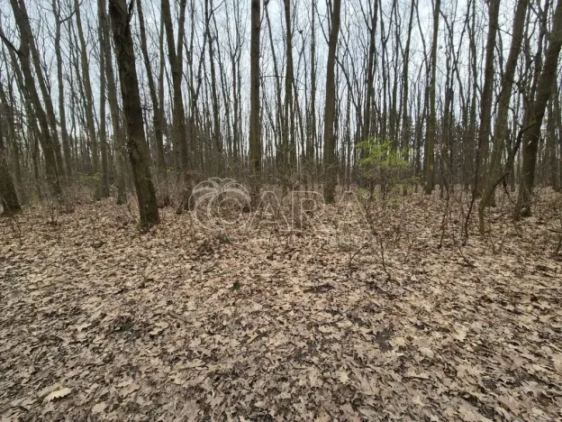 Pronájem komerčního pozemku, Praha - Háje, 2000 m2