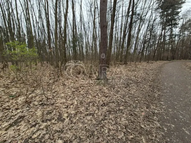 Pronájem komerčního pozemku, Praha - Háje, 2000 m2