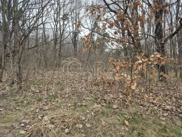 Pronájem komerčního pozemku, Praha - Háje, 2000 m2