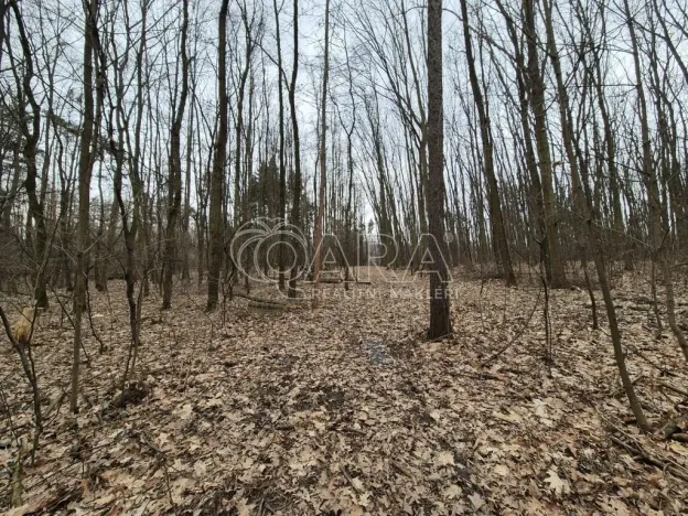 Pronájem komerčního pozemku, Praha - Háje, 2000 m2