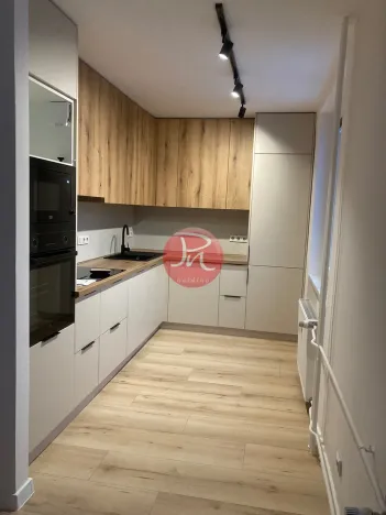 Pronájem bytu 2+kk, Ostrava, Opavská, 50 m2