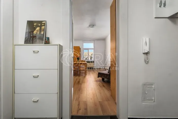 Prodej bytu 2+kk, Praha - Vinohrady, Lužická, 49 m2