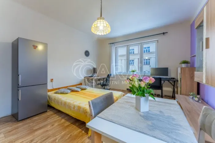 Prodej bytu 2+kk, Praha - Žižkov, Biskupcova, 47 m2