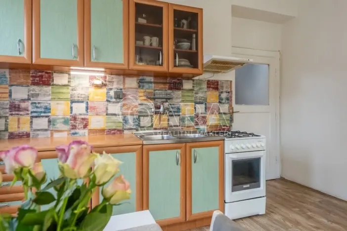 Prodej bytu 2+kk, Praha - Žižkov, Biskupcova, 47 m2