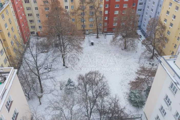 Prodej bytu 2+kk, Praha - Žižkov, Biskupcova, 47 m2