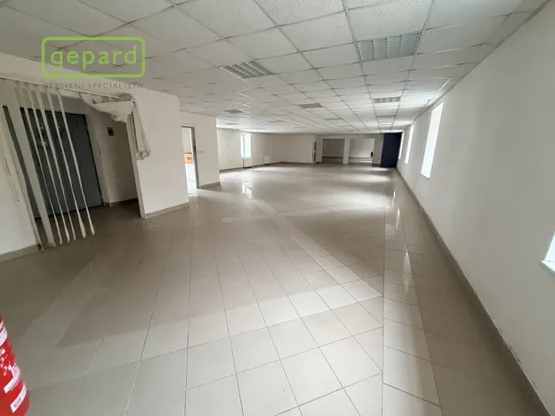Pronájem obchodního prostoru, Sokolov, Křížová, 305 m2