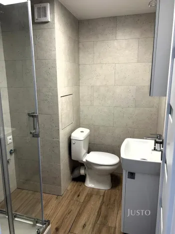 Pronájem bytu 1+kk, Písek - Budějovické Předměstí, třída Přátelství, 36 m2