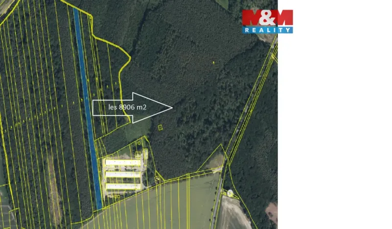Prodej lesa, Městec Králové, 8906 m2