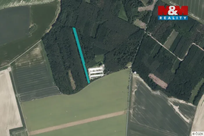 Prodej lesa, Městec Králové, 8906 m2