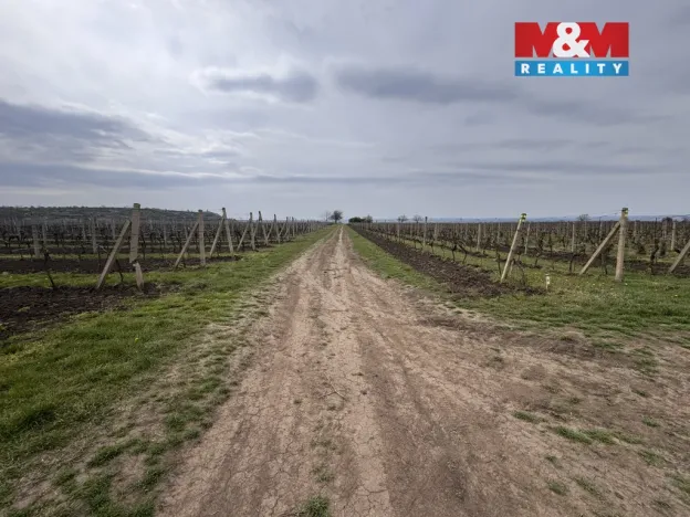 Prodej pole, Velké Bílovice, 3600 m2