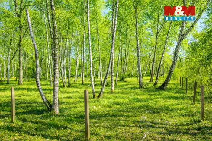 Prodej pozemku pro bydlení, Hradištko, 3825 m2