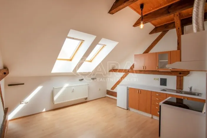 Prodej bytu 2+kk, České Budějovice - České Budějovice 3, Puklicova, 41 m2