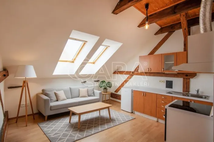 Prodej bytu 2+kk, České Budějovice - České Budějovice 3, Puklicova, 41 m2