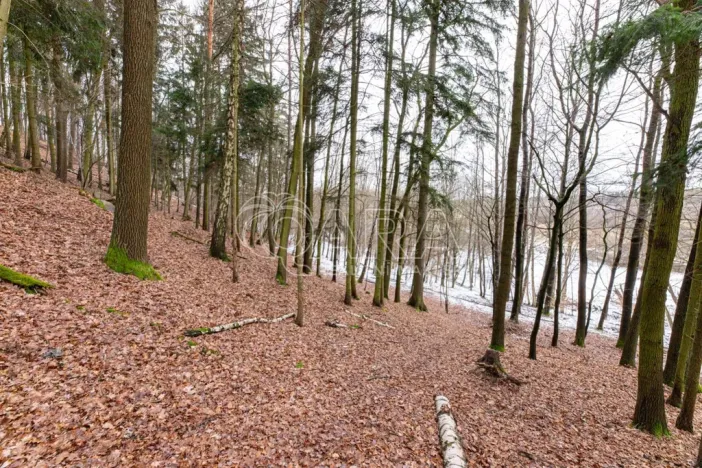 Prodej lesa, Velké Popovice, 19731 m2