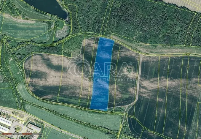 Prodej pole, Mašťov, 29043 m2