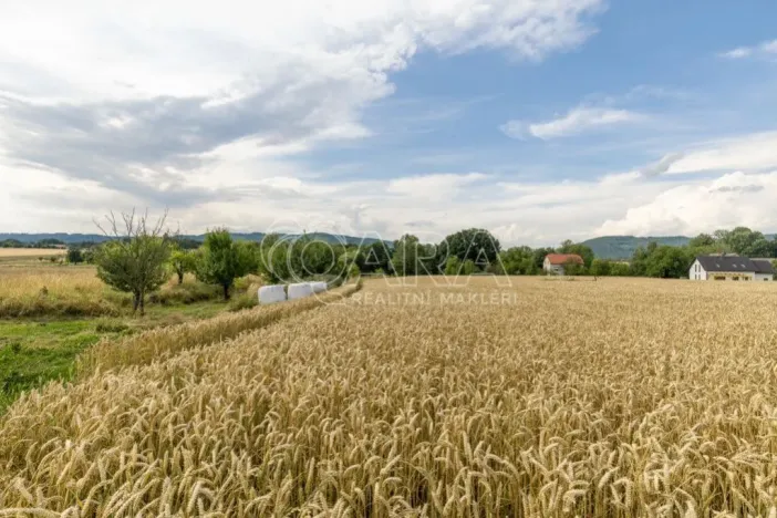 Prodej pozemku pro bydlení, Vražné, 4254 m2
