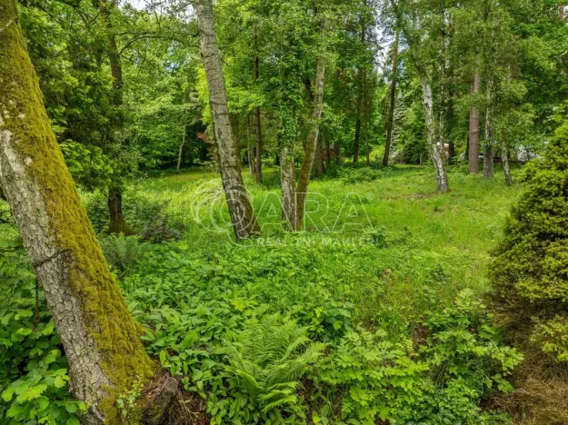 Prodej pozemku pro bydlení, Hrubá Skála, 5519 m2