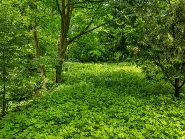 Prodej pozemku pro bydlení, Hrubá Skála, 5519 m2