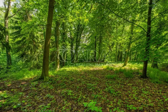 Prodej pozemku pro bydlení, Hrubá Skála, 5519 m2