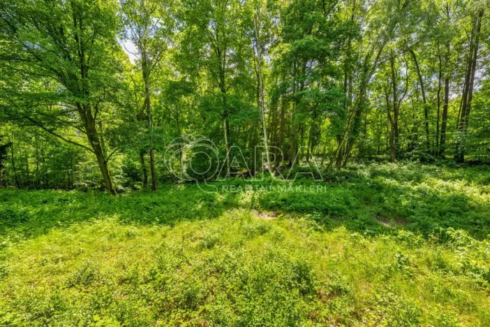 Prodej pozemku pro bydlení, Hrubá Skála, 5519 m2