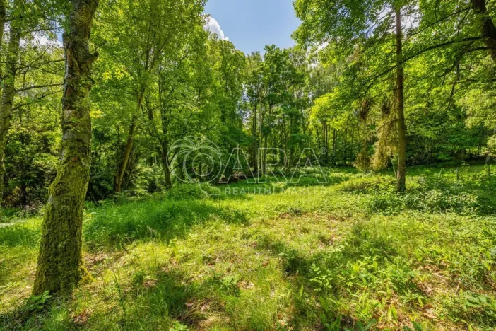 Prodej pozemku pro bydlení, Hrubá Skála, 5519 m2