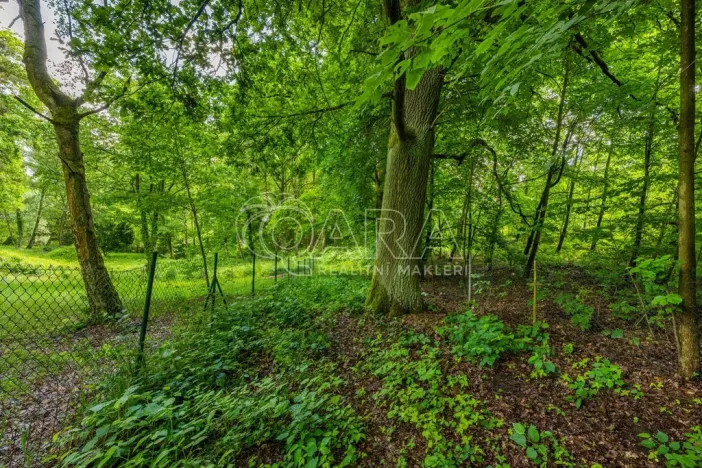 Prodej pozemku pro bydlení, Hrubá Skála, 5519 m2