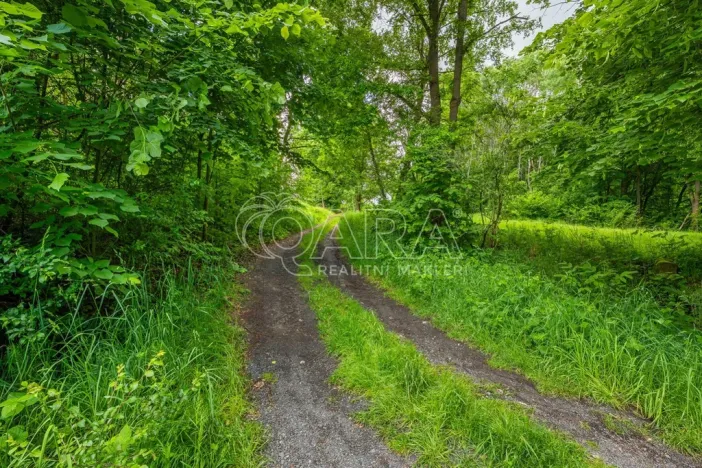 Prodej pozemku pro bydlení, Hrubá Skála, 5519 m2