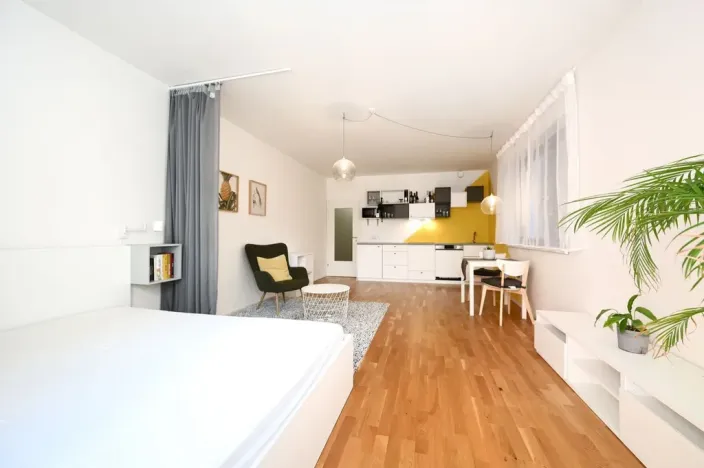 Pronájem bytu 1+kk, Praha - Smíchov, Plzeňská, 43 m2