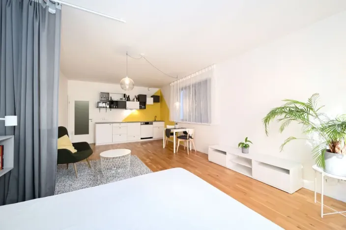 Pronájem bytu 1+kk, Praha - Smíchov, Plzeňská, 43 m2