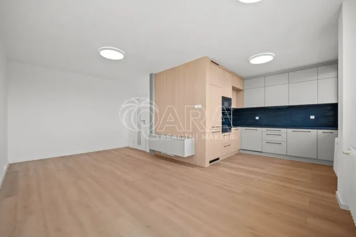 Prodej bytu 4+kk, Praha - Žižkov, U kněžské louky, 81 m2