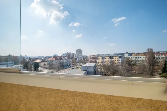 Prodej bytu 4+kk, Praha - Žižkov, U kněžské louky, 81 m2