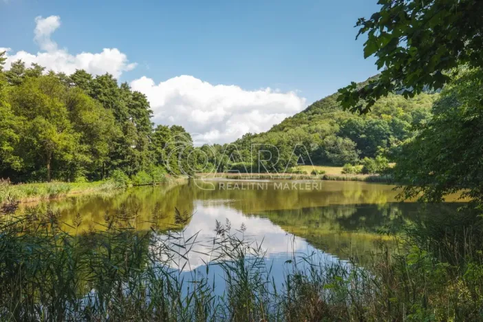 Prodej rybníku, Vojkovice, 105479 m2