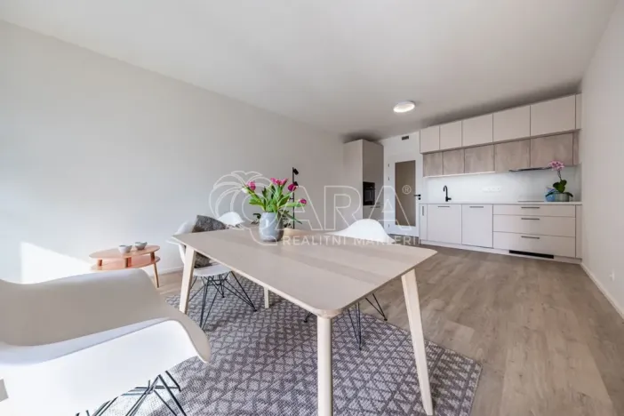 Pronájem bytu 1+kk, Praha - Hloubětín, Poděbradská, 39 m2