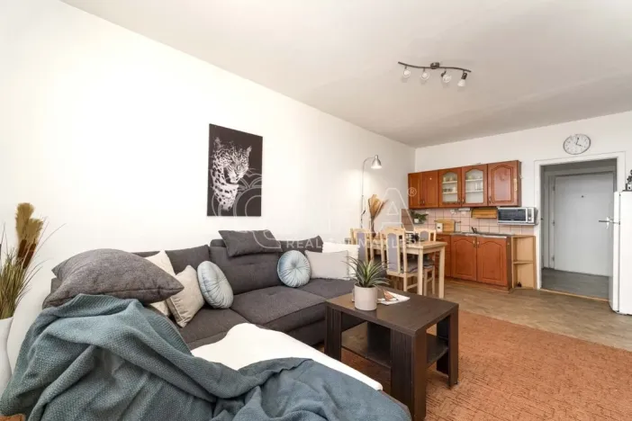 Prodej bytu 1+kk, Ostrava - Moravská Ostrava, Gen. Píky, 27 m2